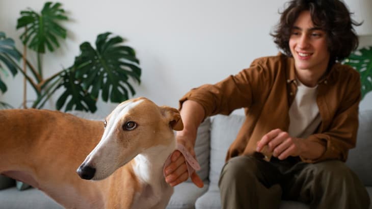 Feed Your Furry Friend These Pet-Friendly Recipes