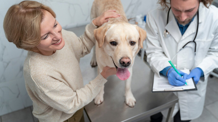 Flea and Tick Shampoo in Manhattan Beach, CA