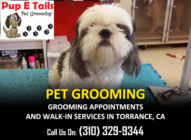 Dog grooming service Torrance CA