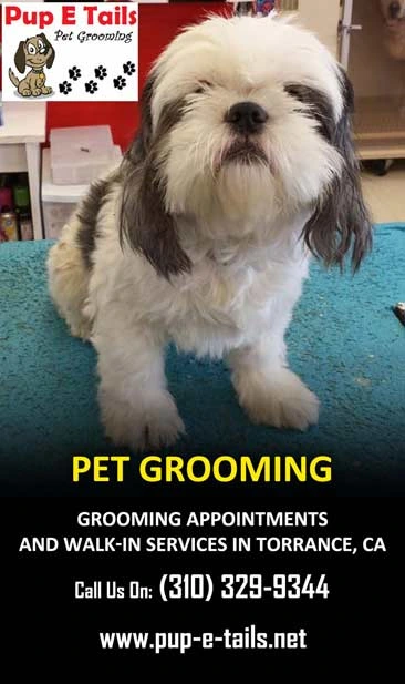Dog grooming service Torrance CA